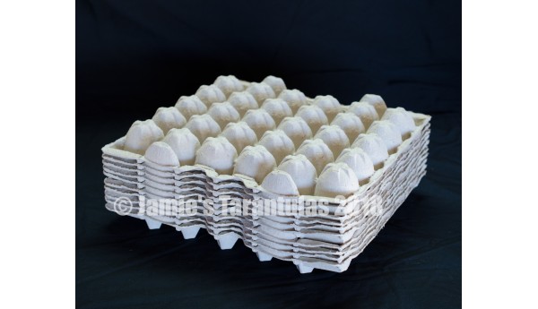 Egg crate 10 flats FREE SHIPPING